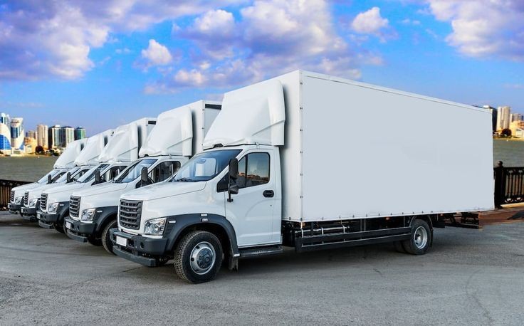 Expert Fleet Management
