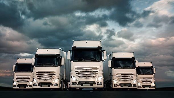 Expert Logistics Consulting